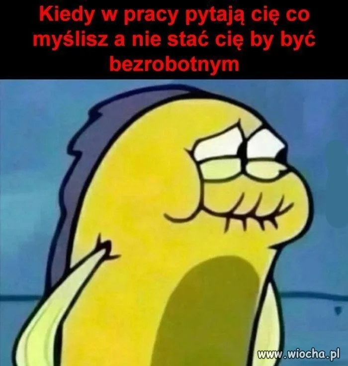 Naprawdę nie chcecie wiedzieć 