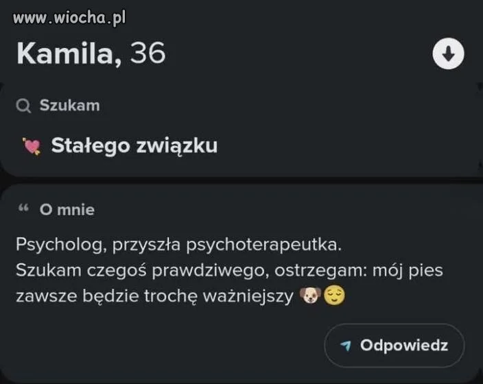 Psychoterapeuta, ale pies ma pierwszeństwo