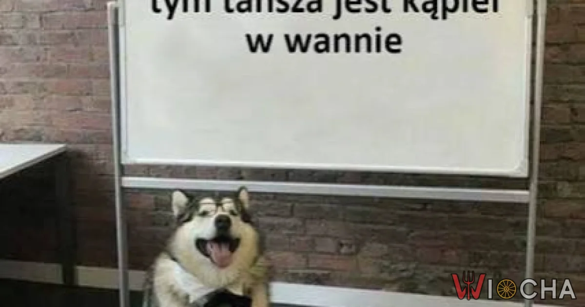 W końcu jakieś dobre wiadomości
