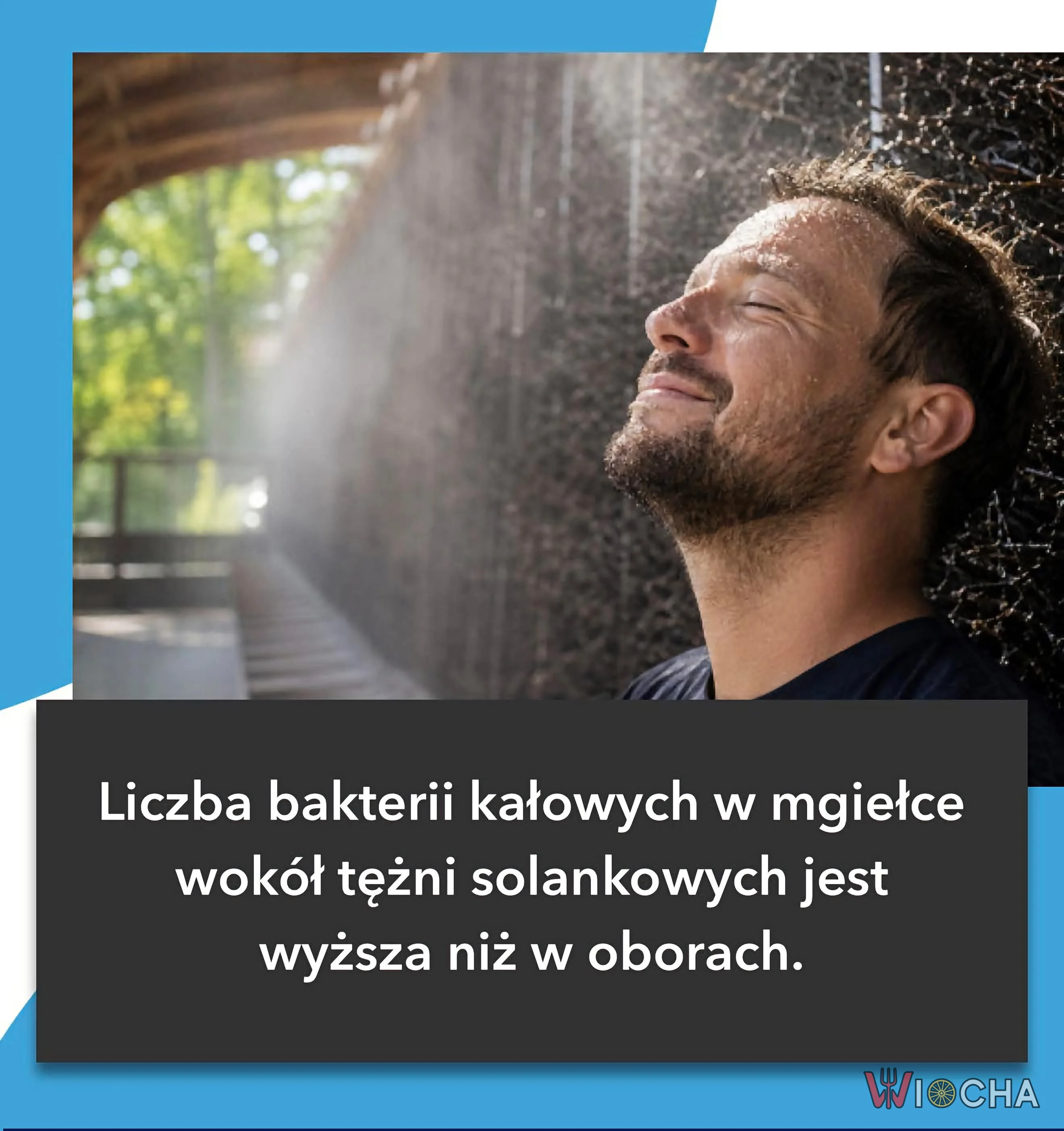 To niezłe uzdrowisko