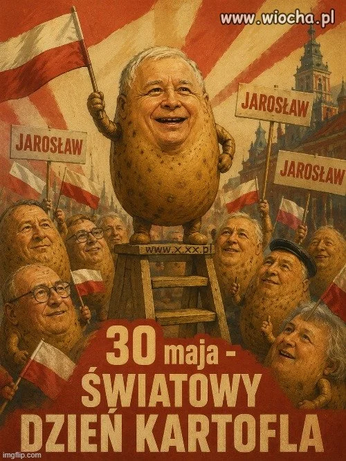Dziś Dzień Ziemniaka !