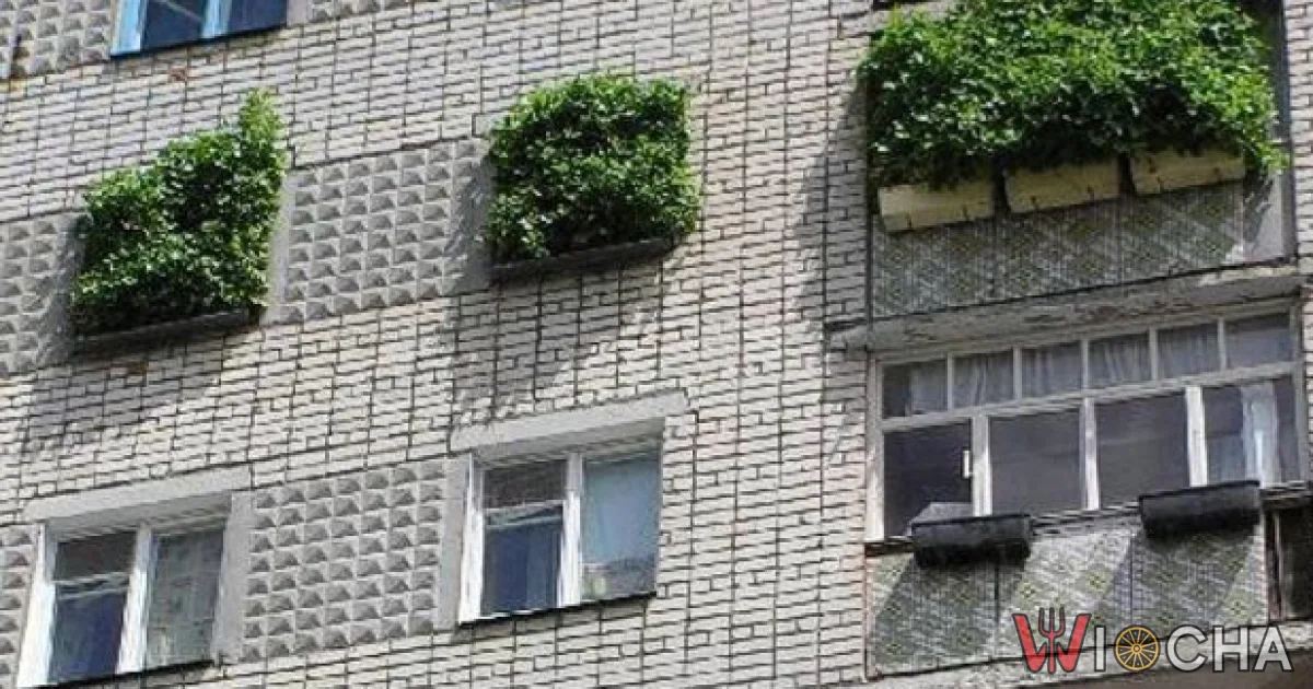 Jeden powie za dużo nawozu