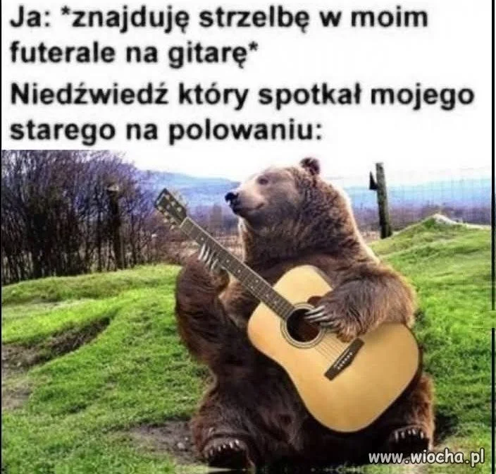 Niedźwiedź z gitarą