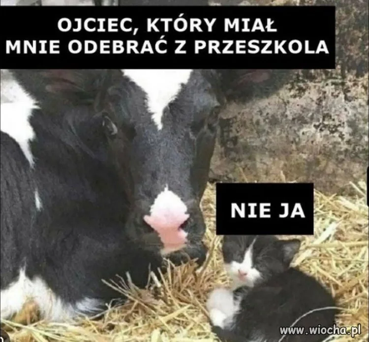 Kto się zgubił w drodze po mnie?