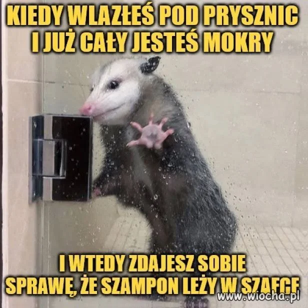 Co robić?
