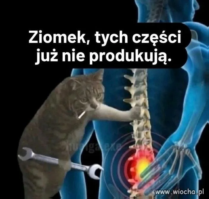 Przestali je produkować jakieś 15 lat temu