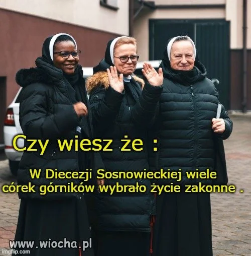 Ciekawostka