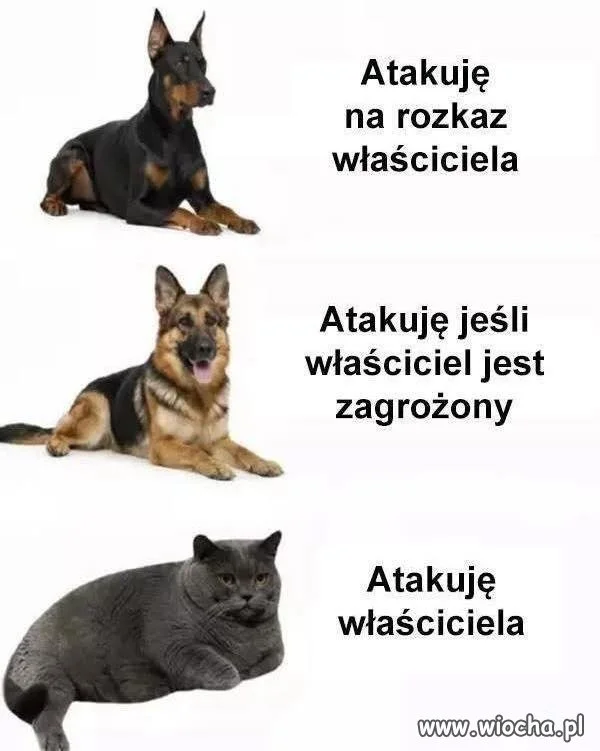 Tak i co?