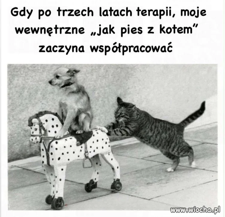 Nareszcie jakiś postęp
