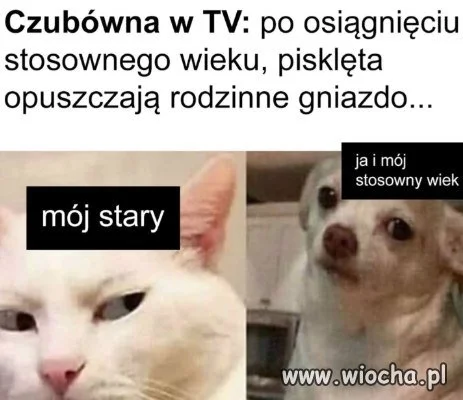 Nie martw się