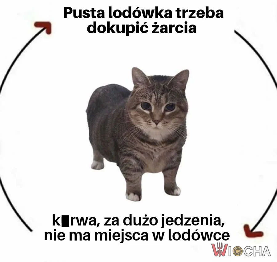 Zawsze źle