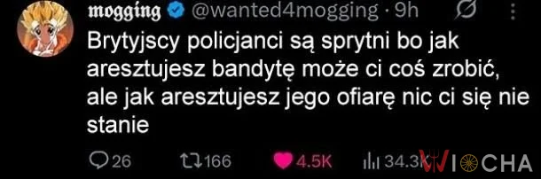 Big brain time