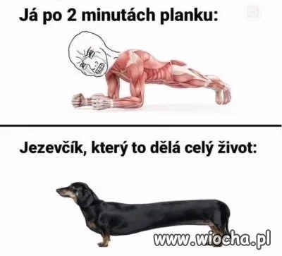 Ja umieram