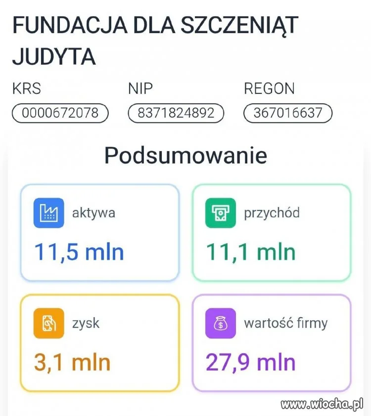 Schroniska to bardzo, bardzo dobry biznes...