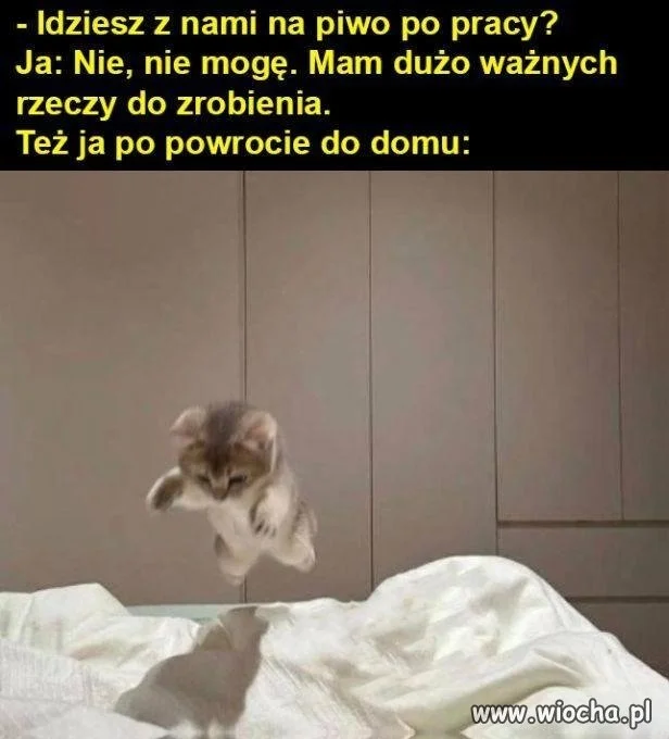 Nie mogę, jestem już spóźniony