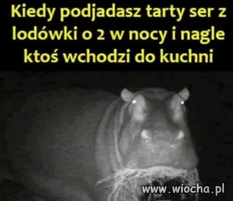 Co się gapisz?