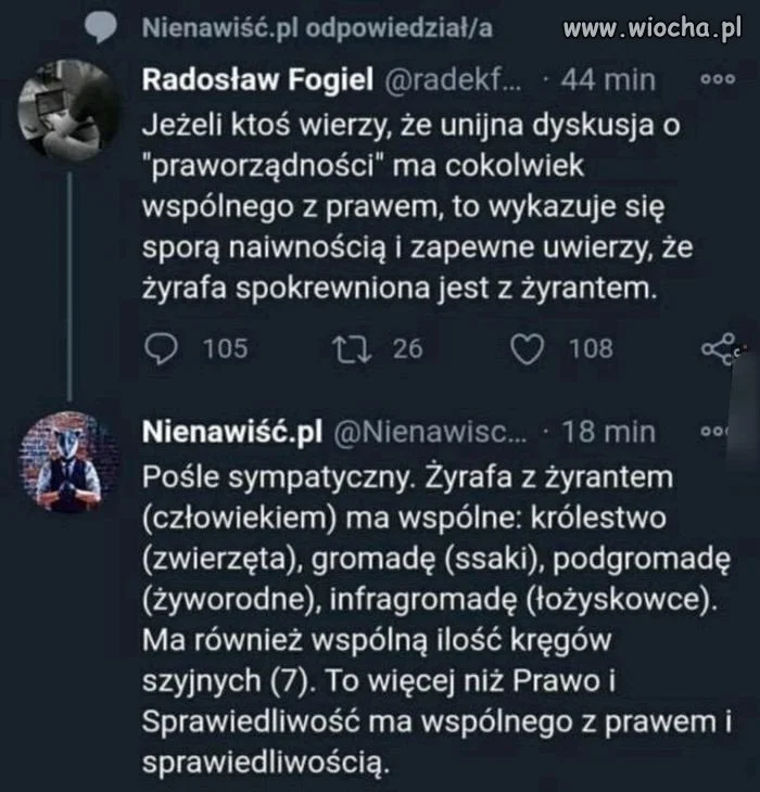 Cyk, pyk 