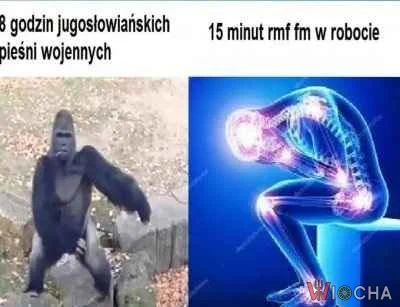 Tylko nie RMF FM