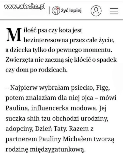 Za takie głupie pitolenie 