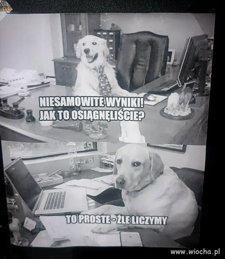 Ale świetne wyniki!