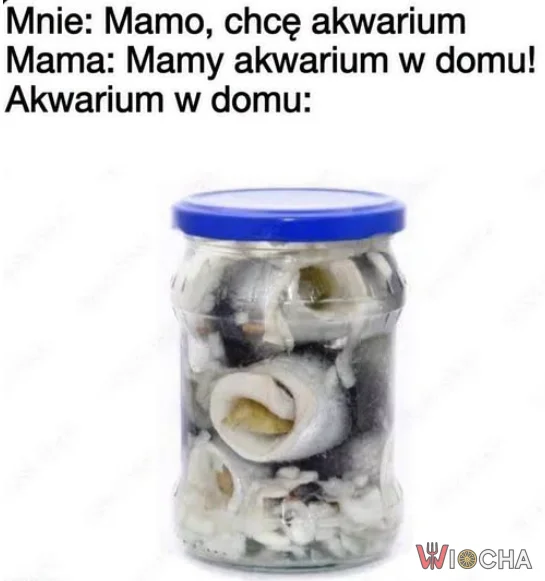 Mamy akwarium w domu
