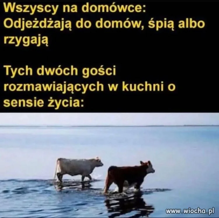 Typowa impreza