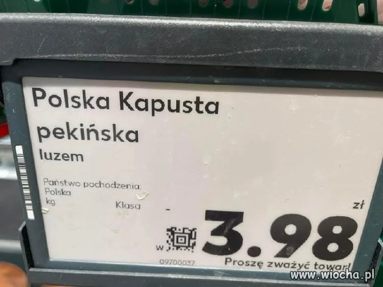 To w końcu kapusta jest polska?