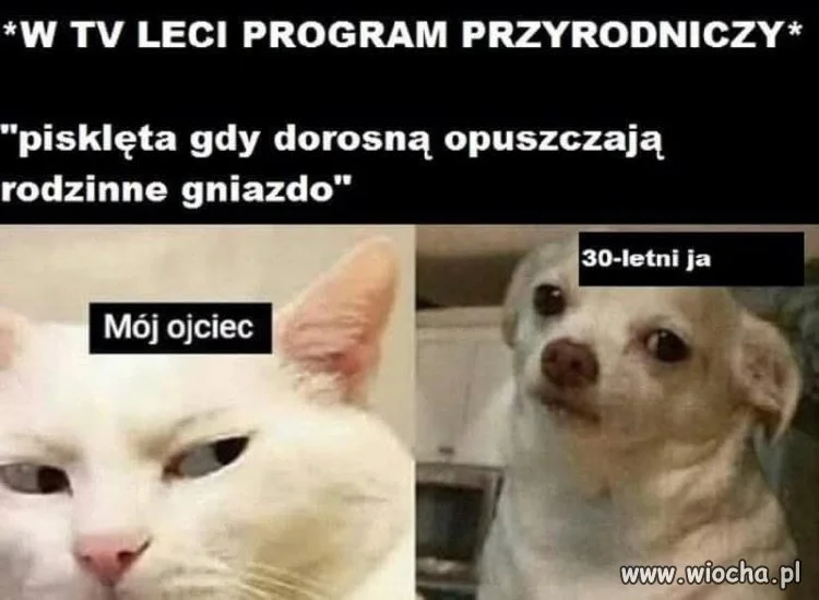 Jestem tylko 30-letnim nastolatkiem