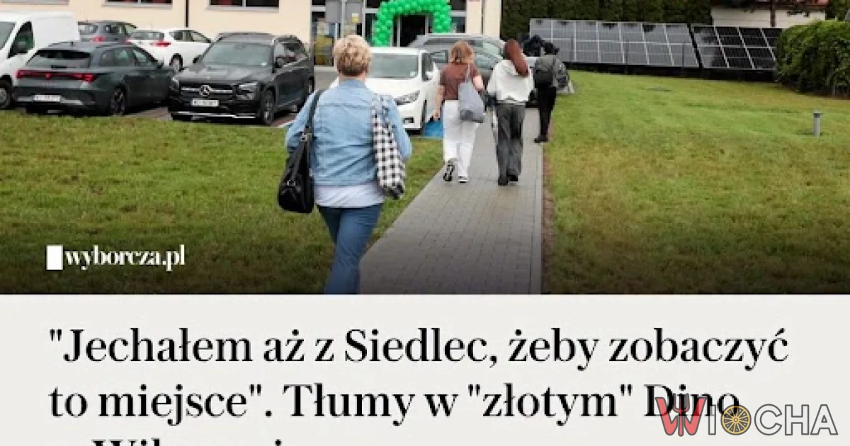 Złote Dino, wielkie marzenia