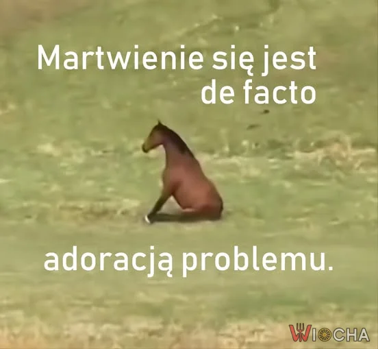Może jednak martwienie się pomaga?