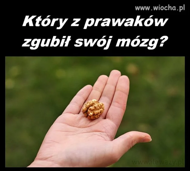 Mózg