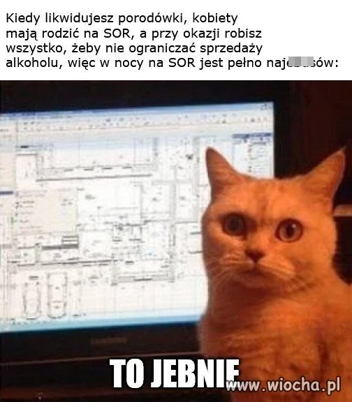 Wszystko działa jak należy