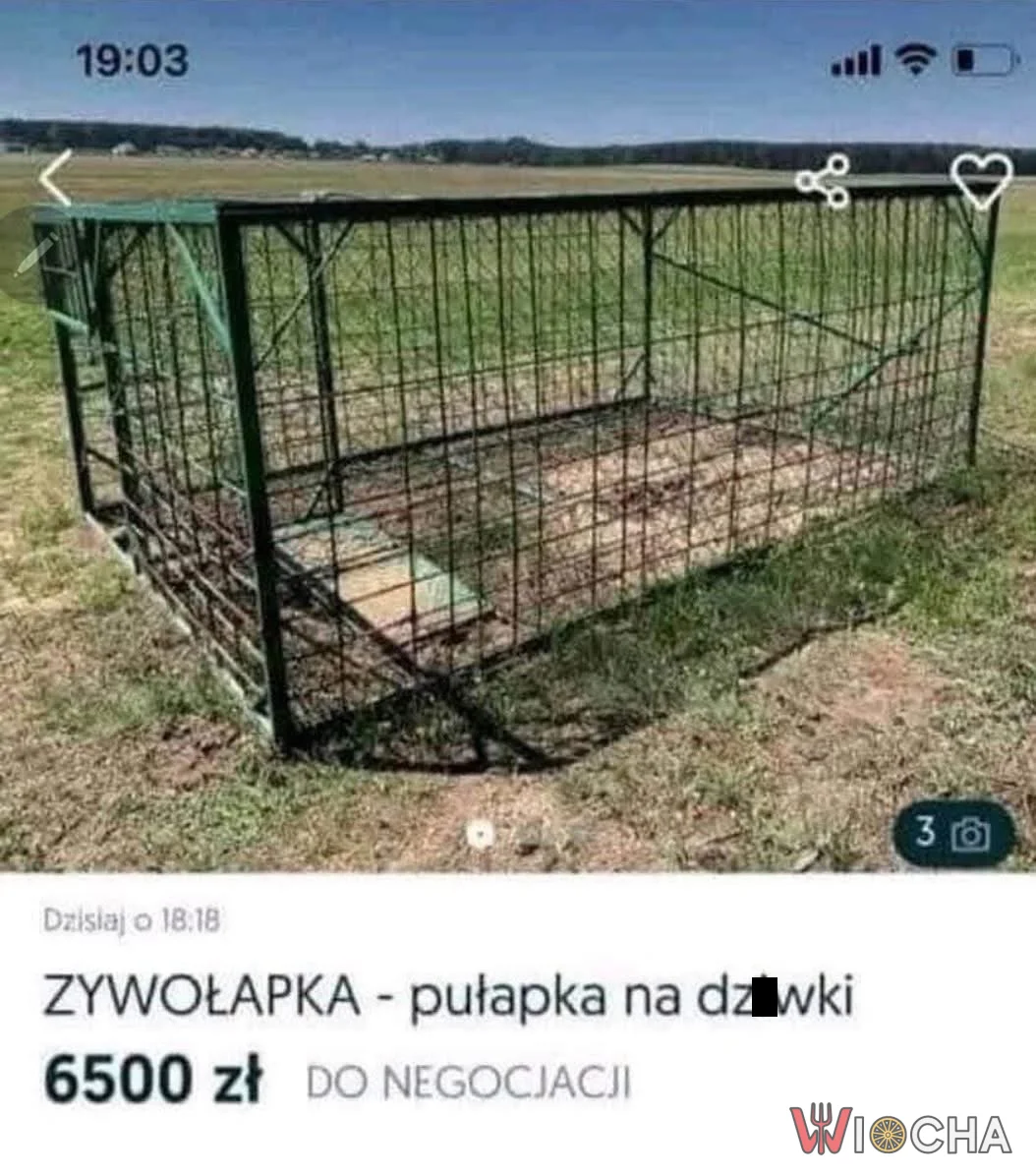 Chyba komuś się pomyliło
