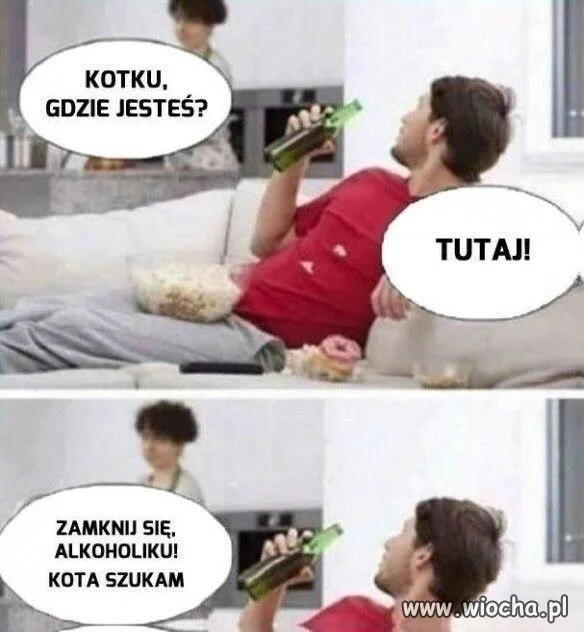 Kotku, gdzie jesteś?