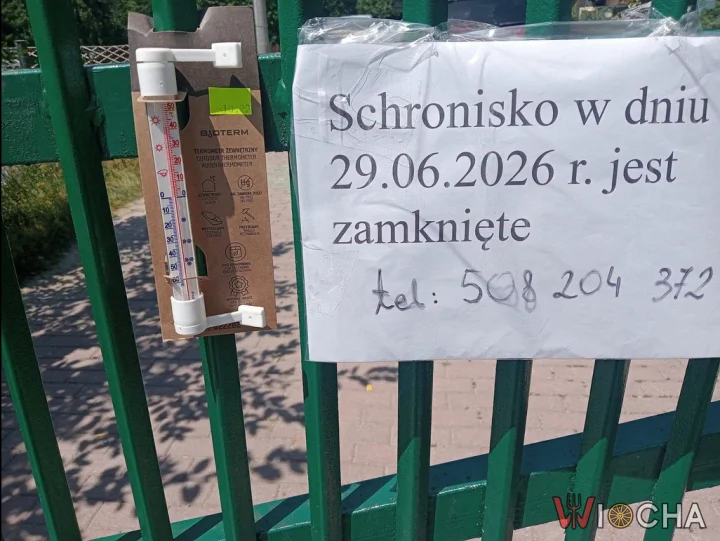 Dostałem informację o bardzo niepokojącej sytuacji w schronisku dla bezdomnych zwierząt w Nowym Targu…
