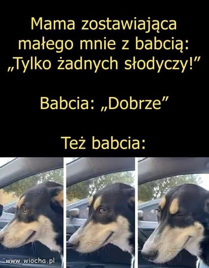 Wiadomo z babcia pelna konspiracja 