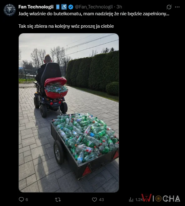 Król kaucyjny