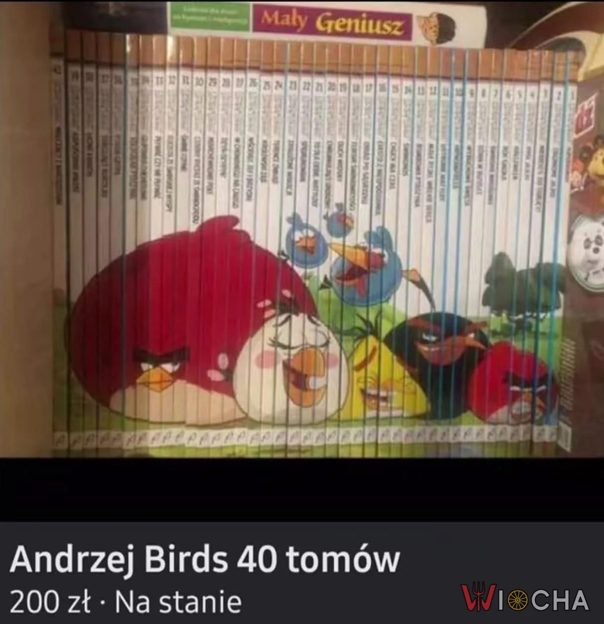 Andrzej Birds
