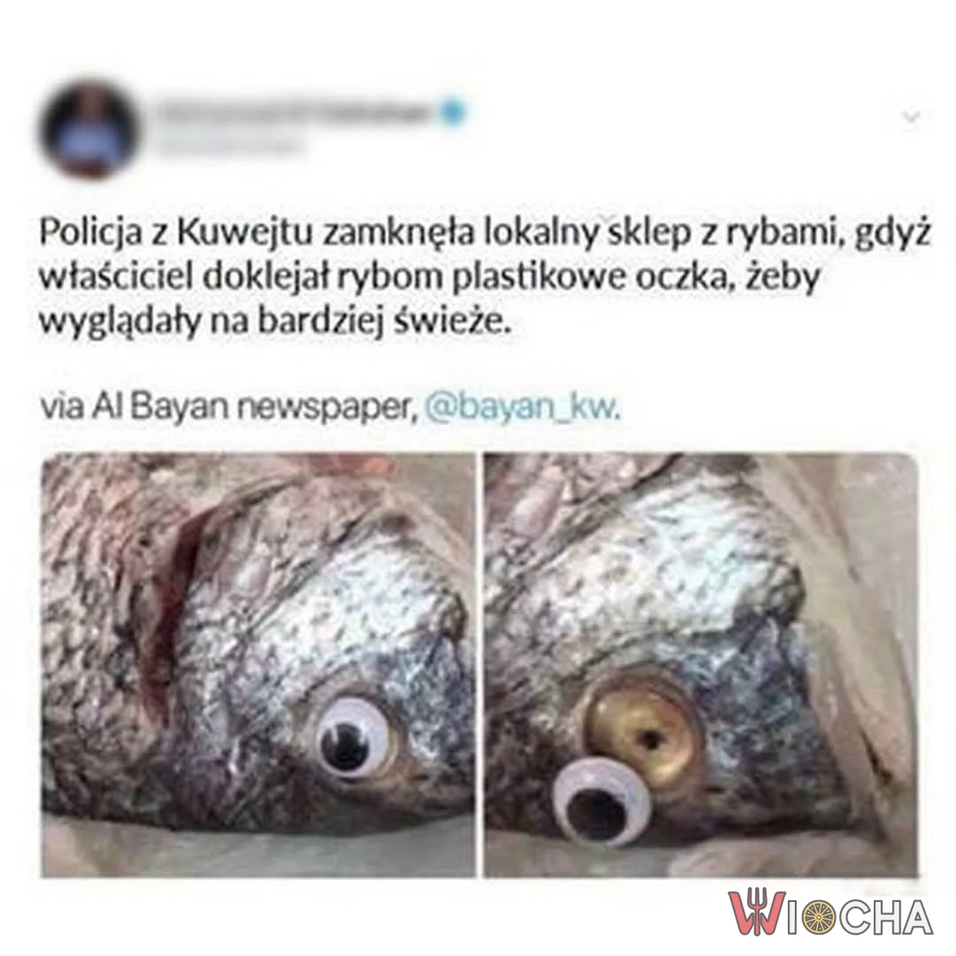Świeże rybki