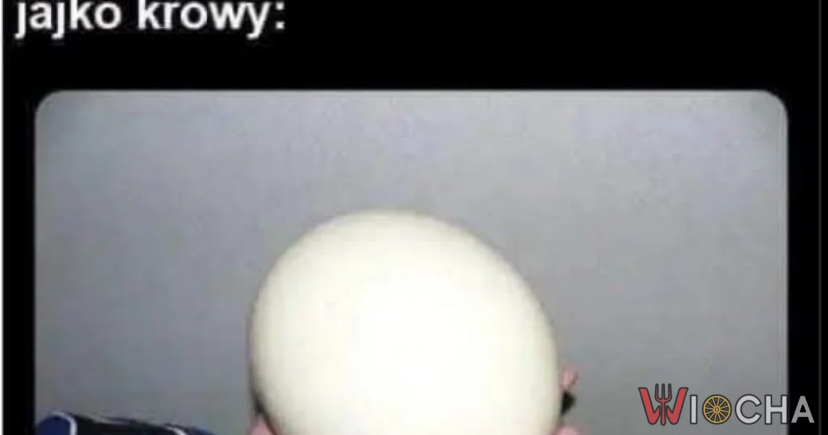 Jajko krowy