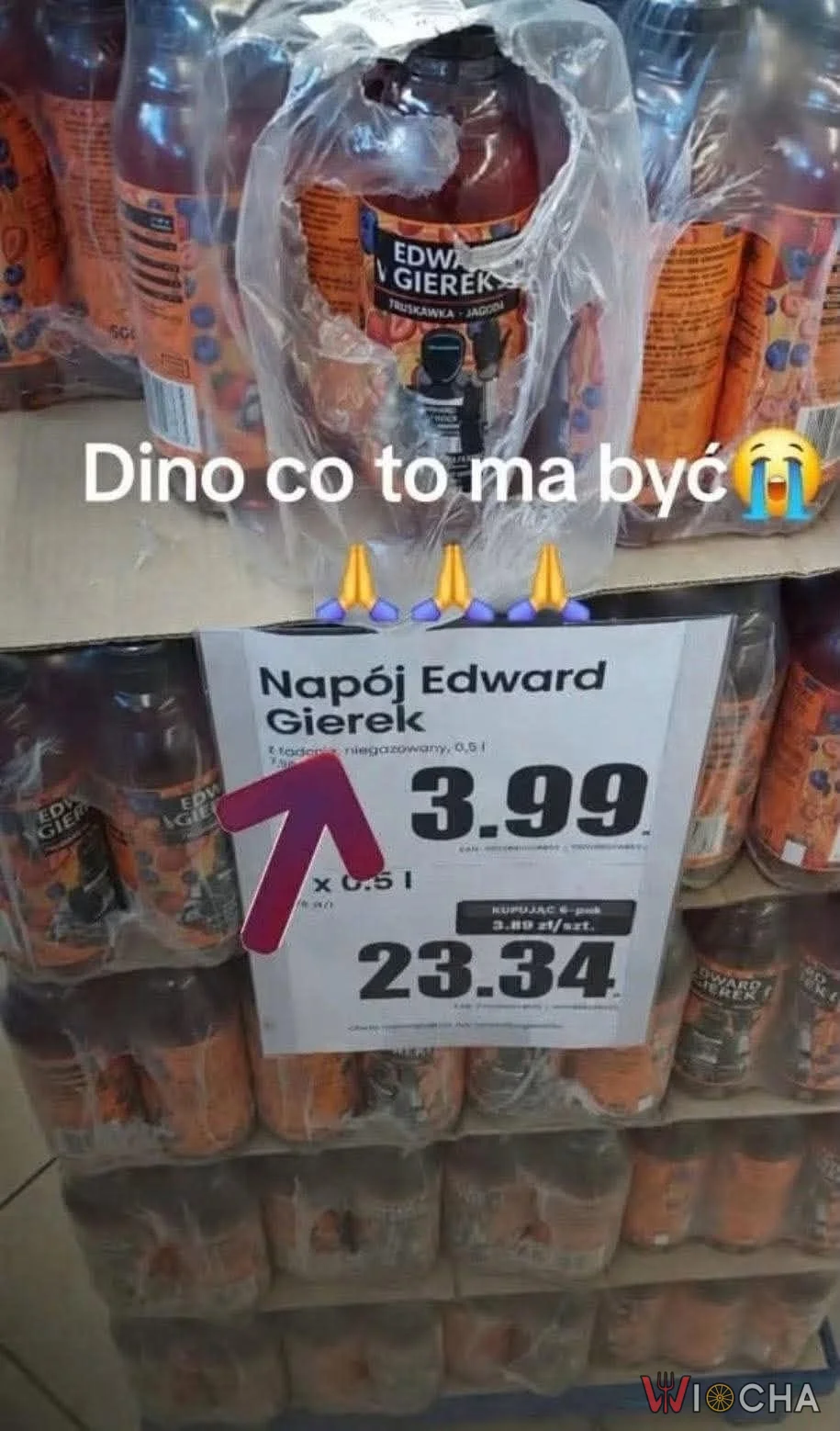 Dino, co to ma być?