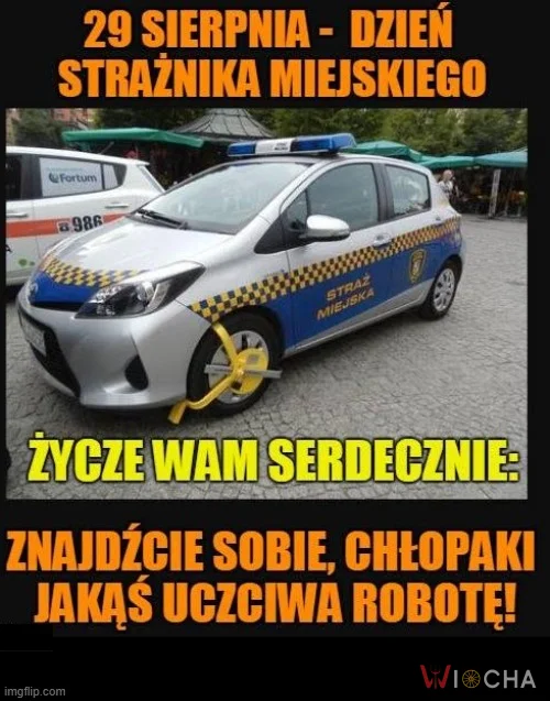 Jeśli czujesz się niepotrzebny, pomyśl o Strażnikach Miejskich !