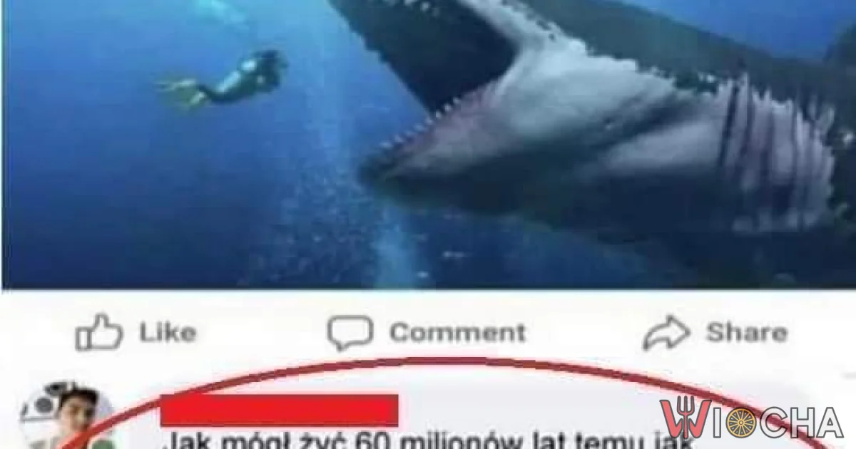 Internetowa logika