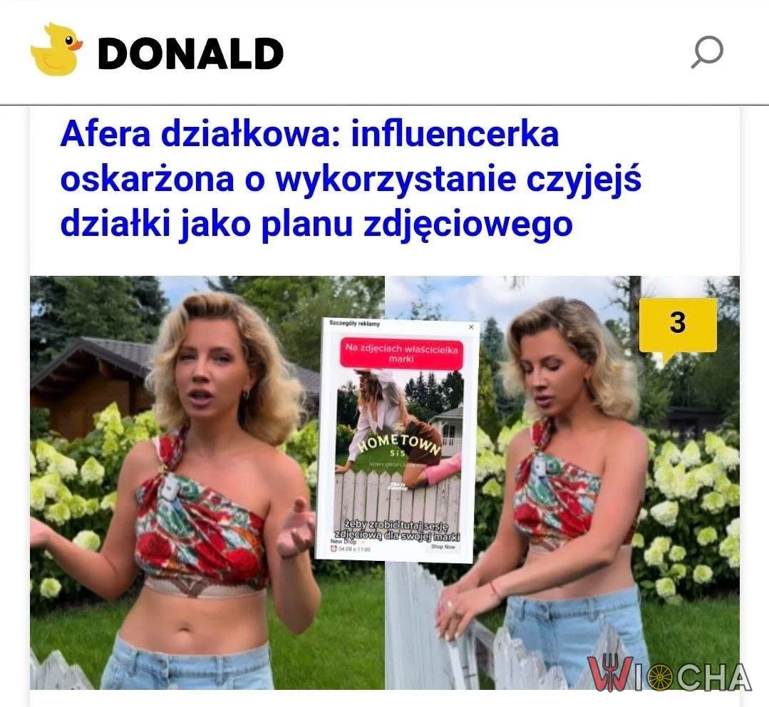 Influencerka w tarapatach?