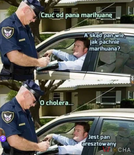 Jesteś aresztowany, cwaniaczku