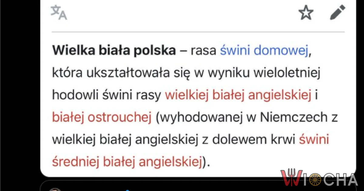 Wielka biała polska