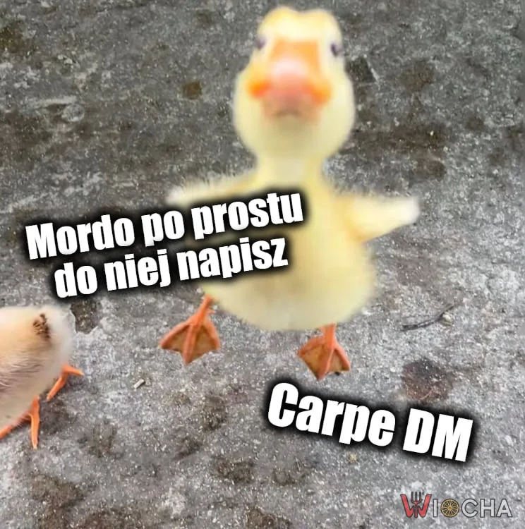 Dobrze gada