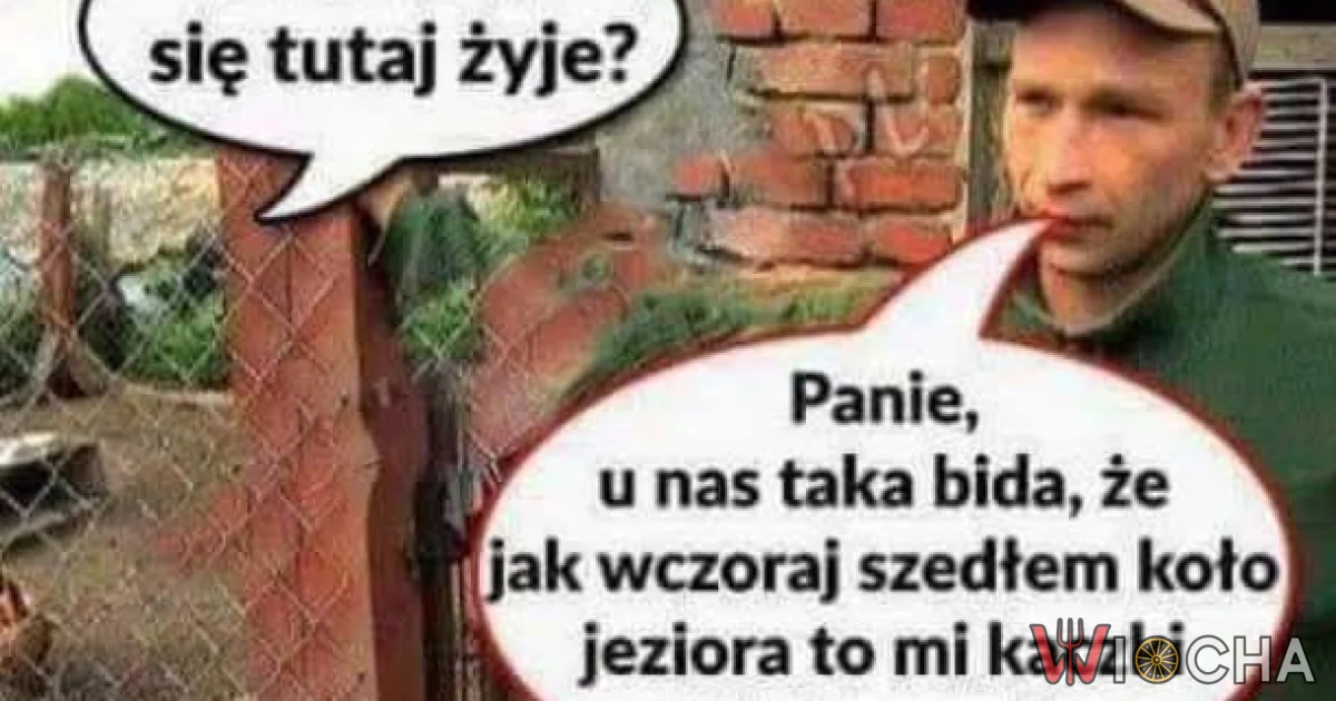 Taka bida, że kaczki chleb rzucają