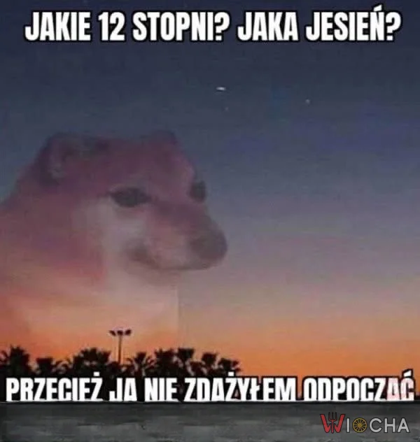 Jeszcze lato!