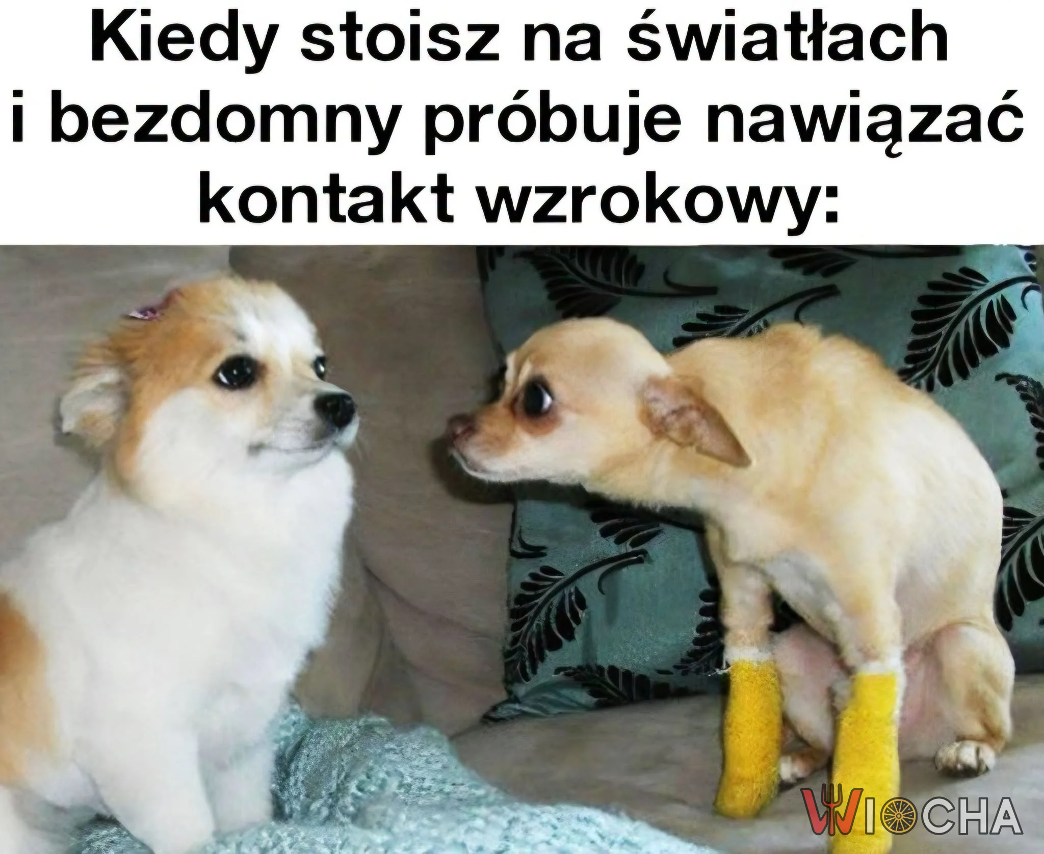Za wszelką cenę unikaj jego wzroku
